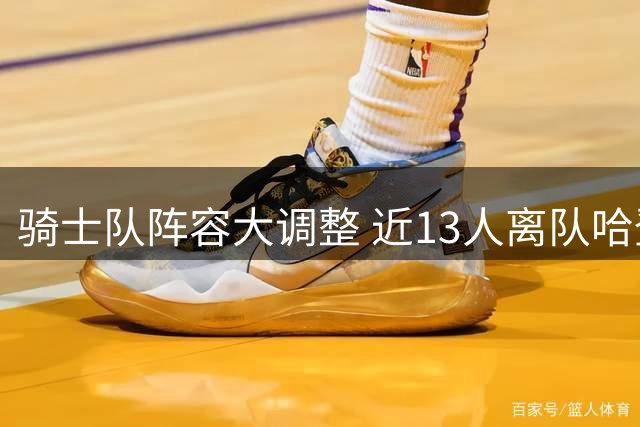 骑士队阵容大调整 近13人离队哈登等6将加盟